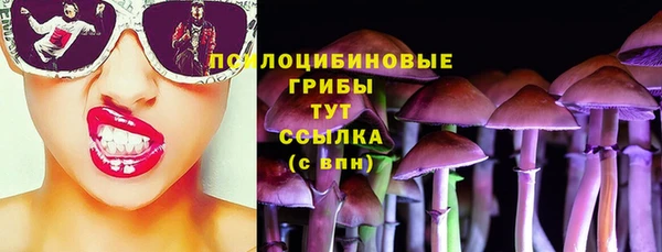 2c-b Зеленодольск