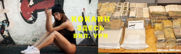 индика Абдулино