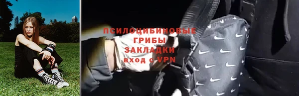 PSILOCYBIN Зерноград