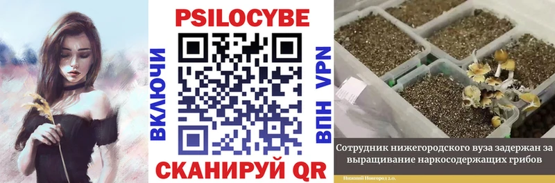 Псилоцибиновые грибы мухоморы  наркотики  Избербаш 