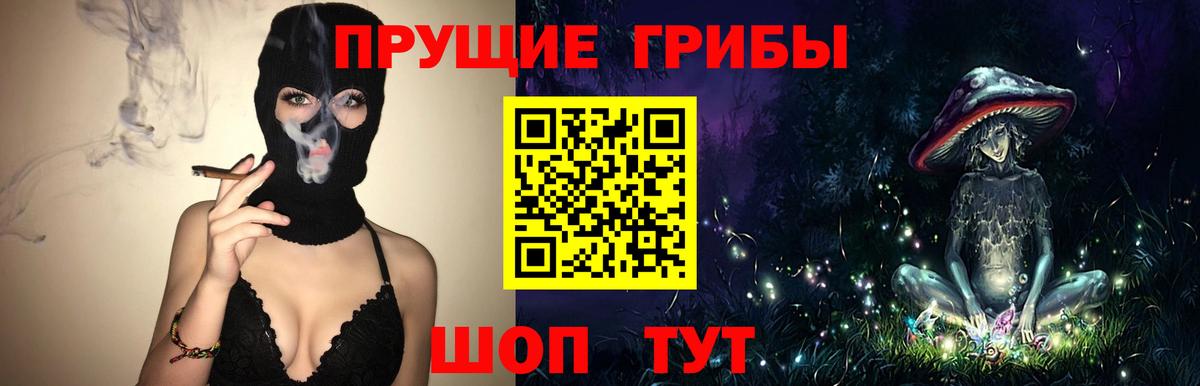 Галлюциногенные грибы Psilocybine cubensis Избербаш